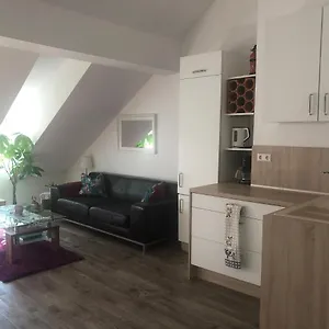 Old Bridge View Apartment Heidelberg